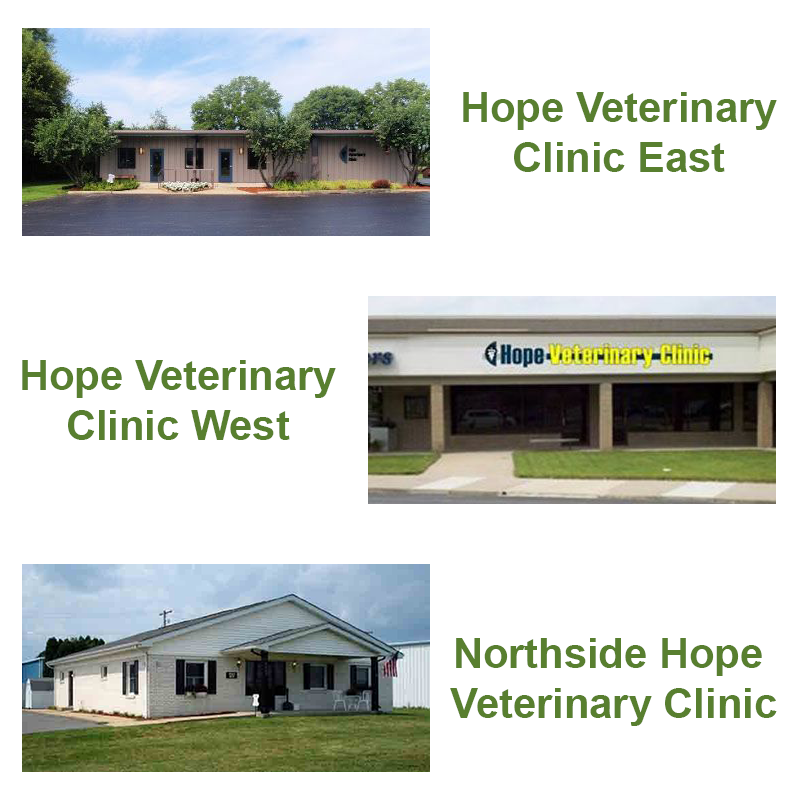 The vet clearance clinic west